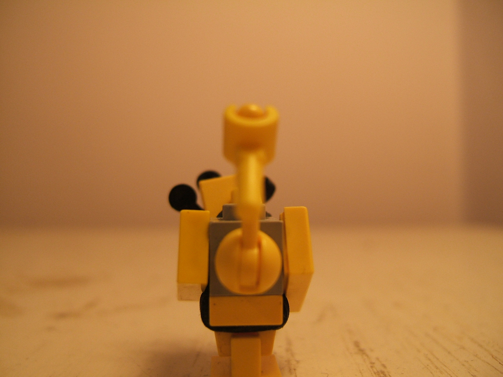mcn_029.jpg