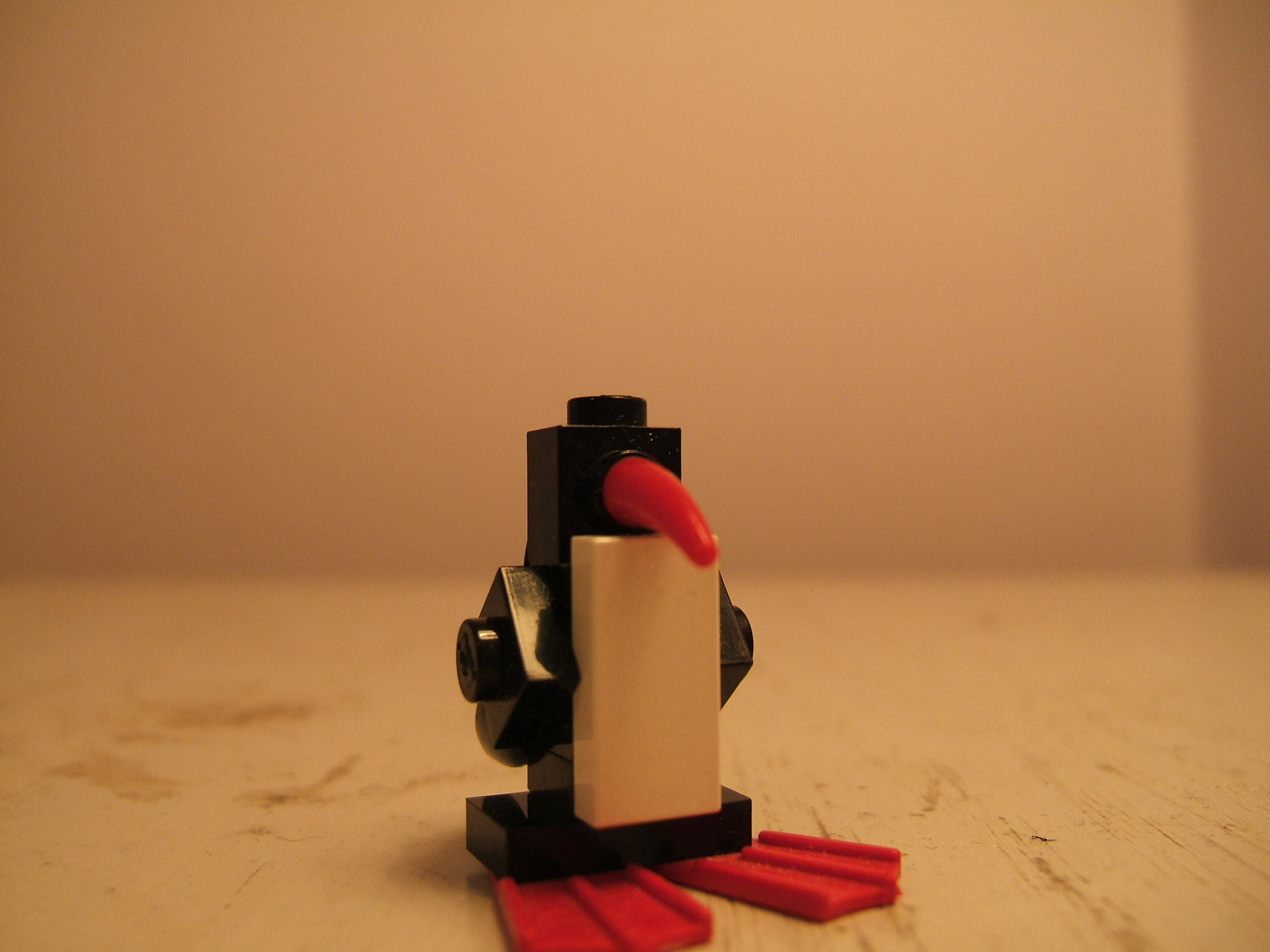 mcn_030.jpg