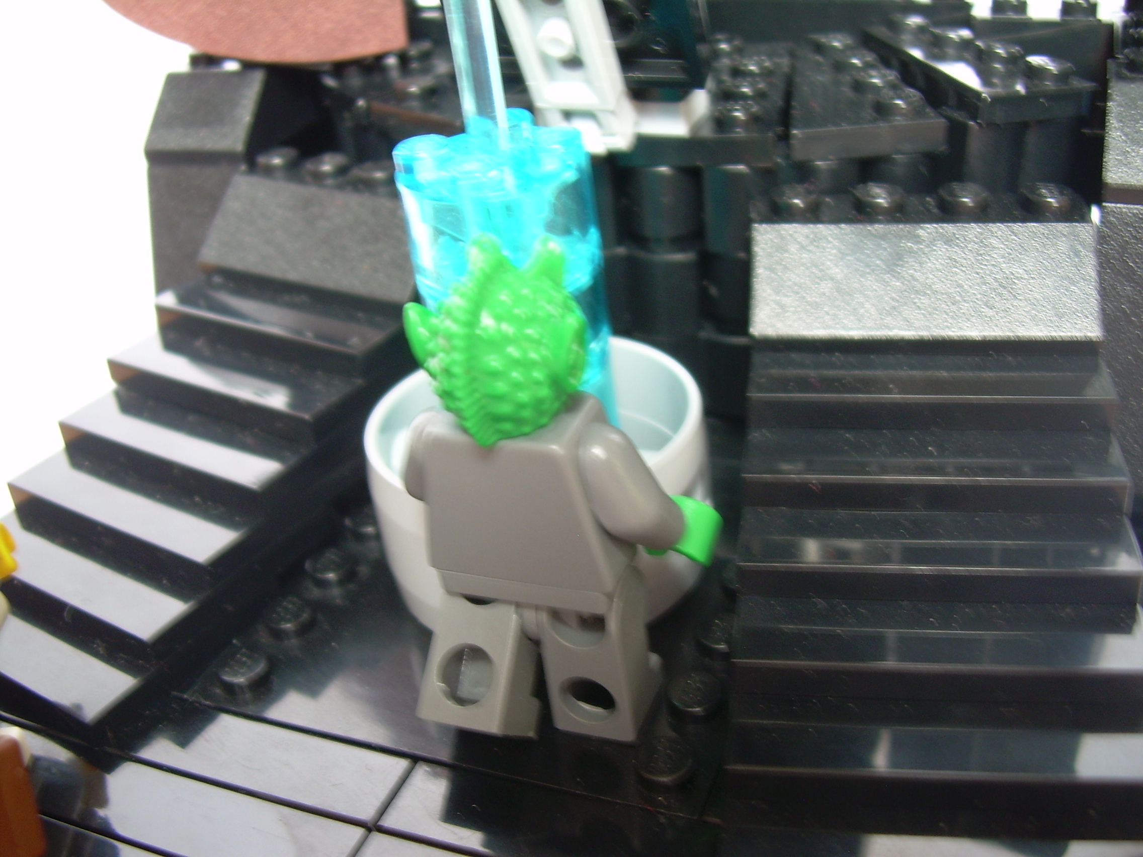 dscn4306.jpg