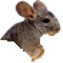 chinchilla4.jpg