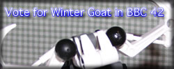 wintergoat.jpg