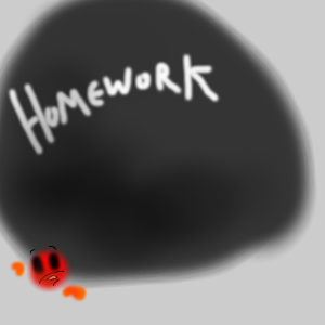 homeworkbag.jpg