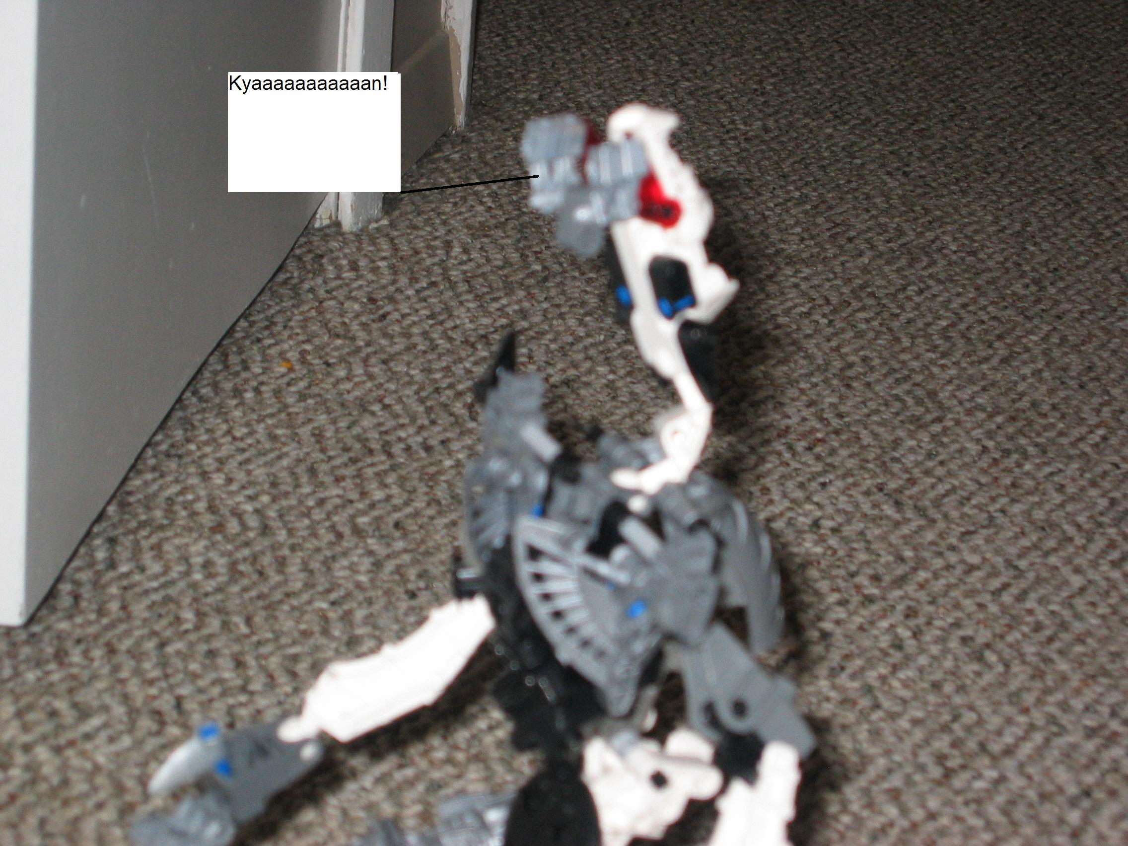 bionicle_030.jpg