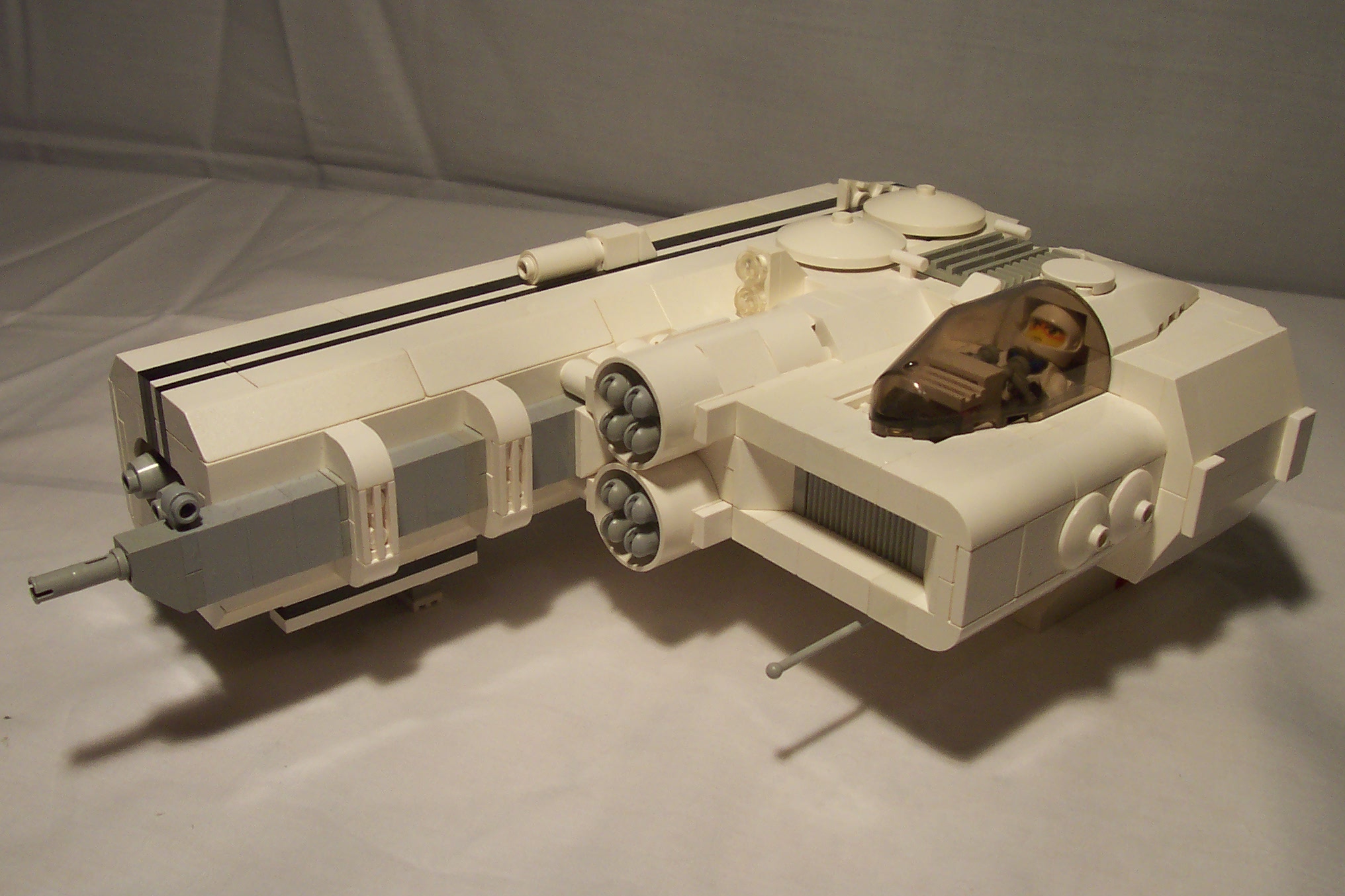 aav271_001.jpg