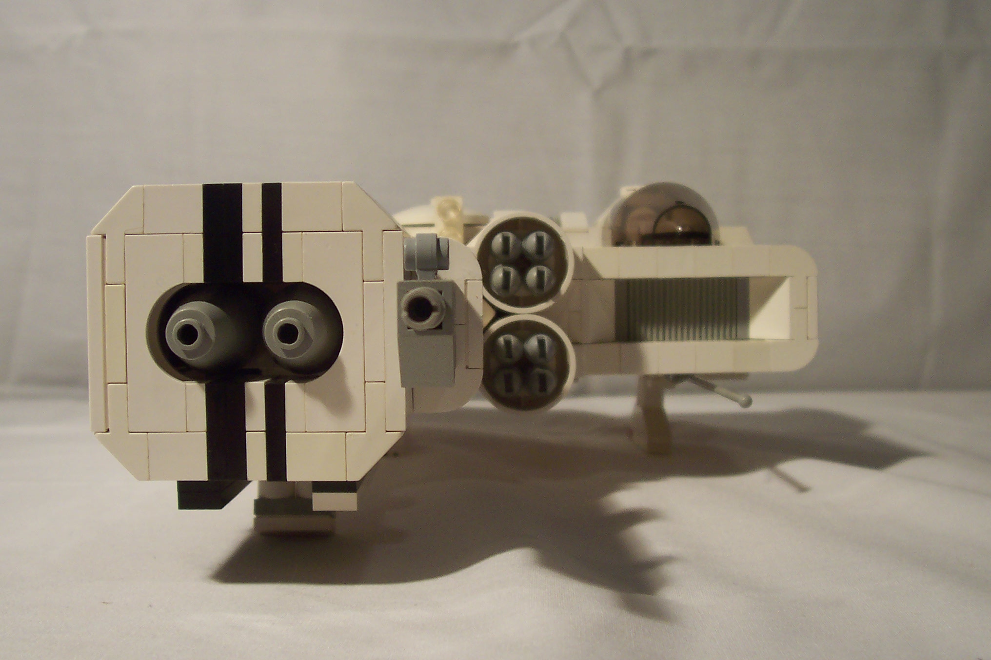 aav271_005.jpg