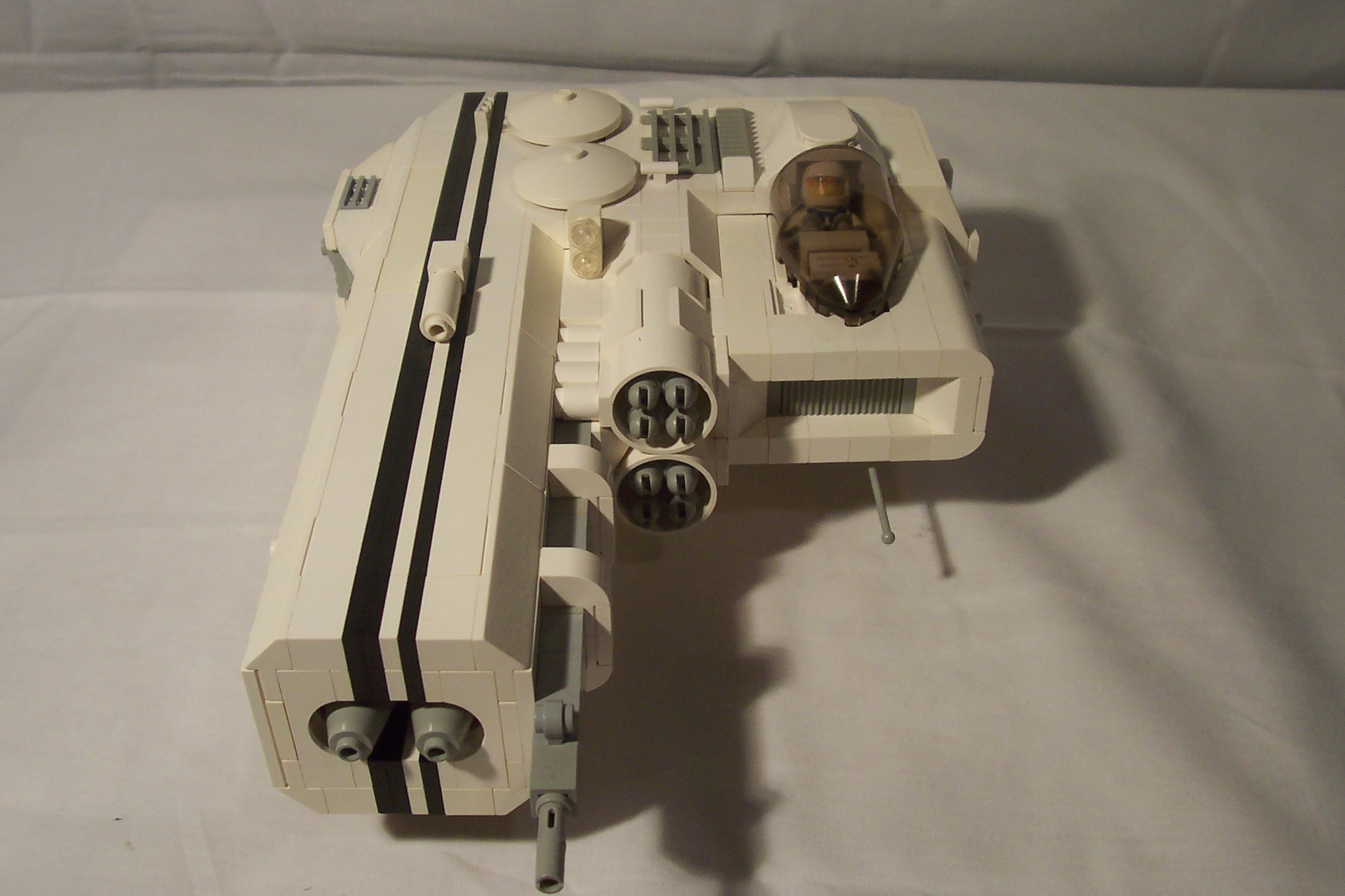 aav271_006.jpg