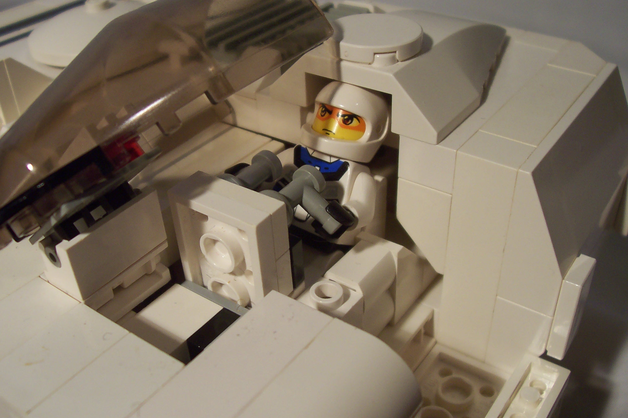 aav271_007.jpg