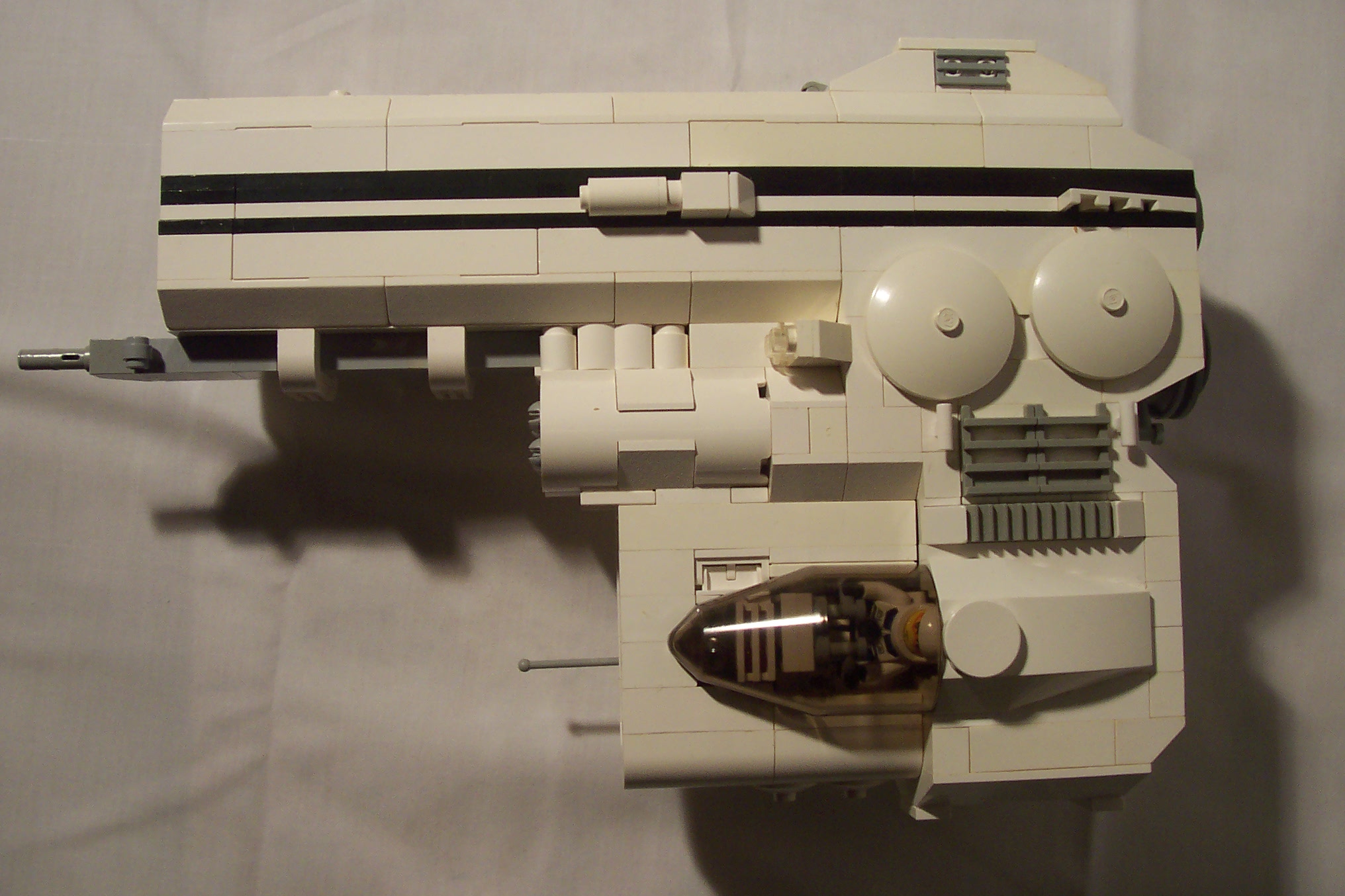 aav271_008.jpg