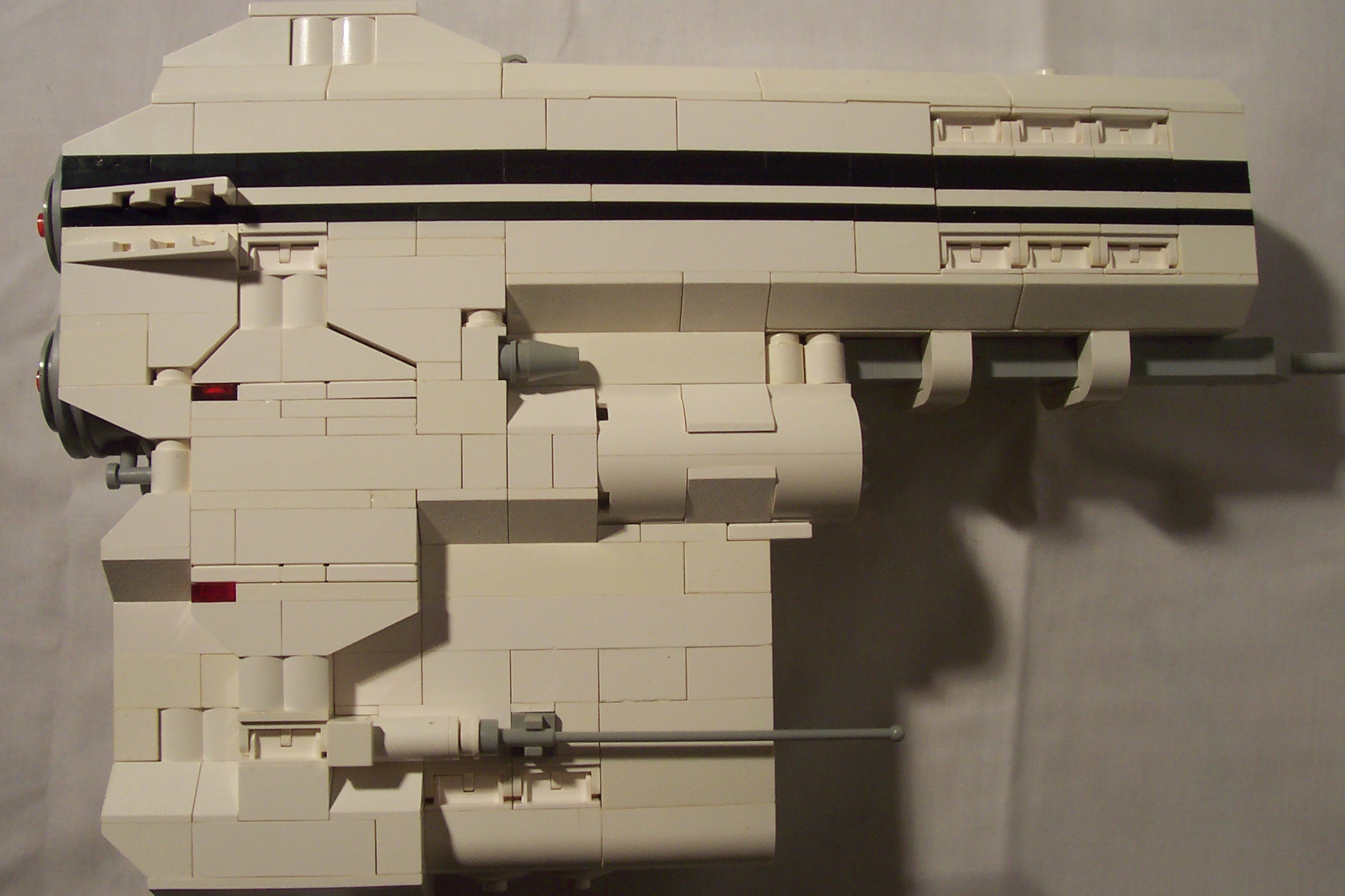 aav271_009.jpg