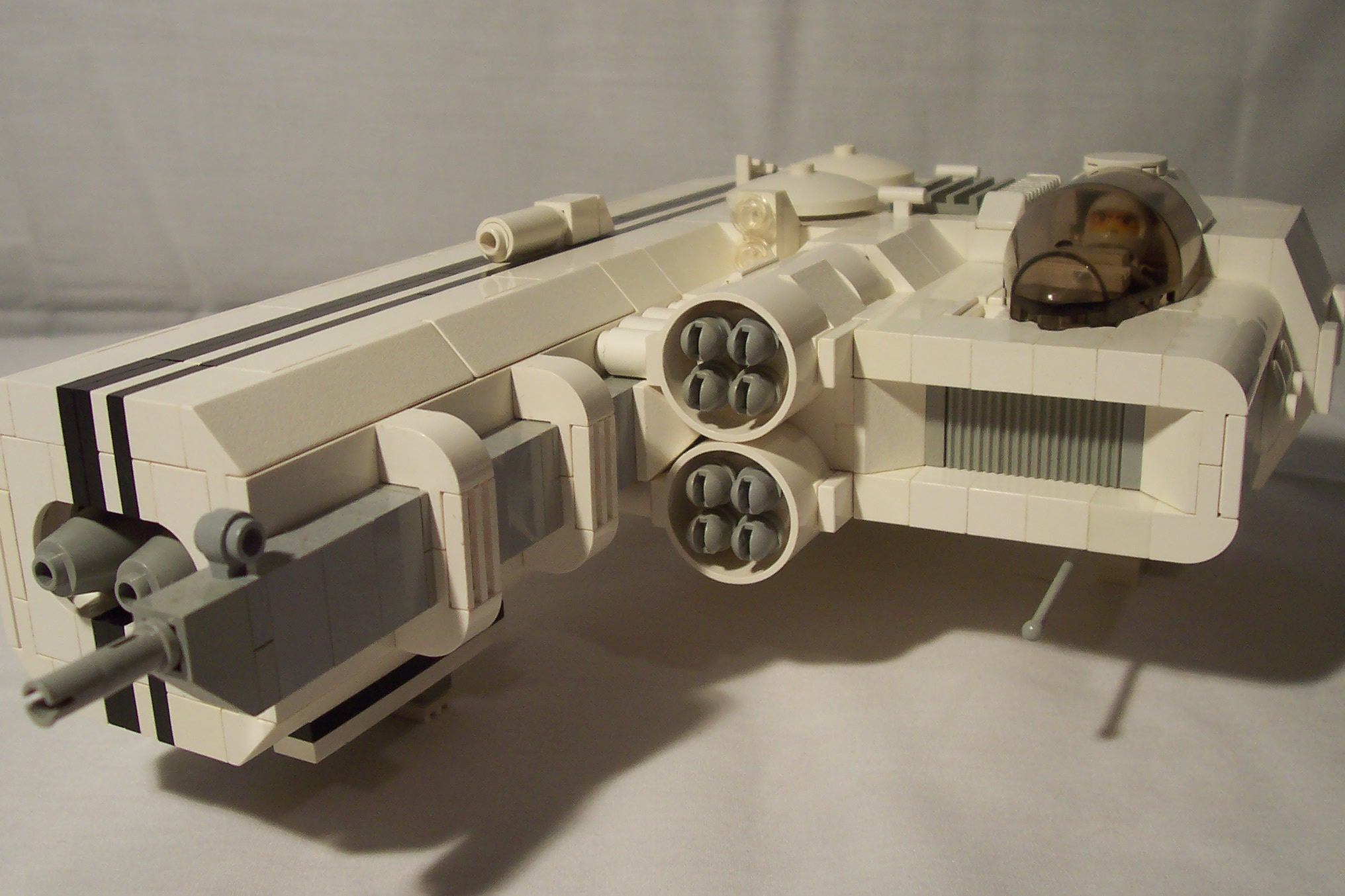 aav271_010.jpg