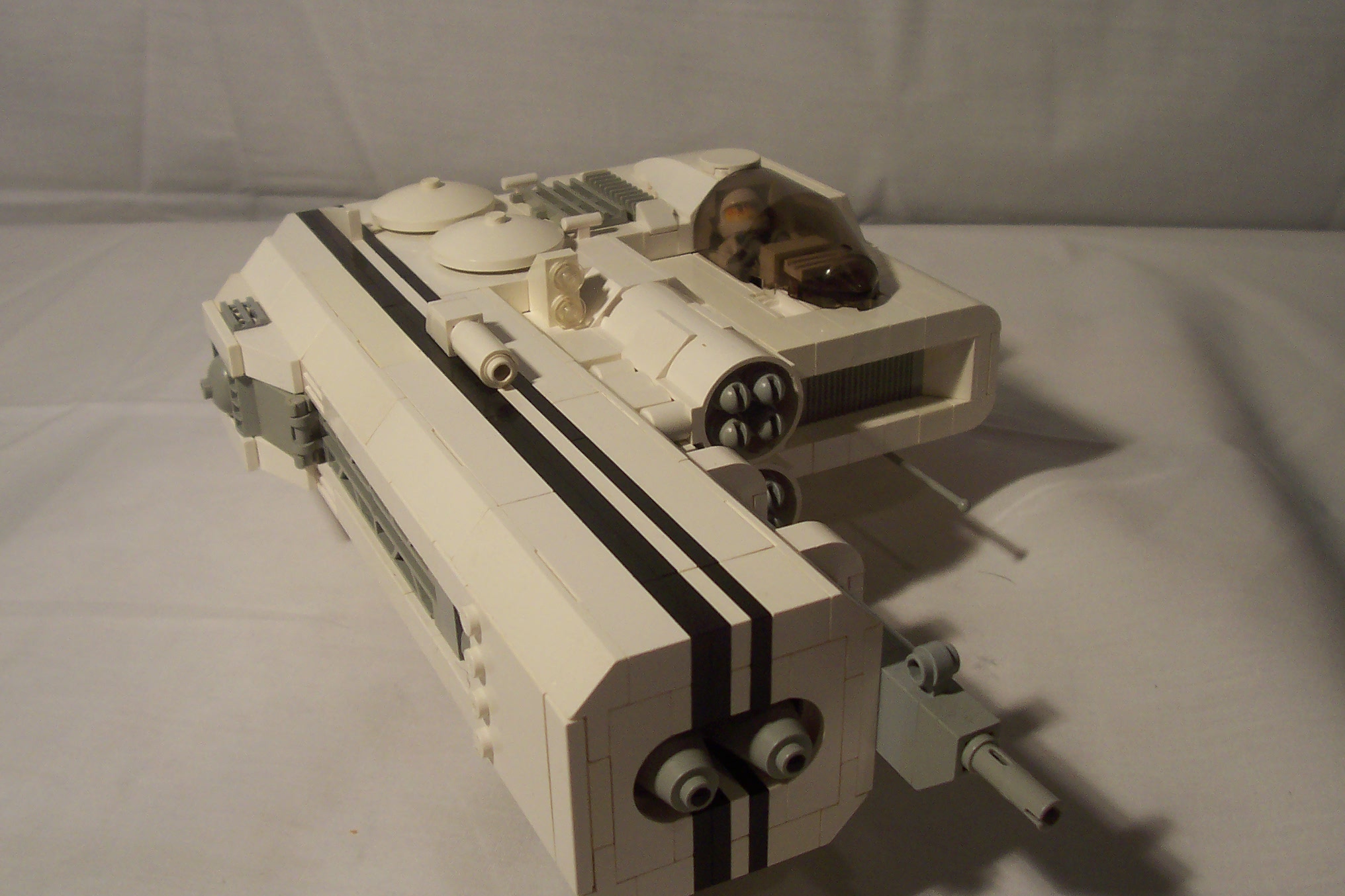 aav271_011.jpg