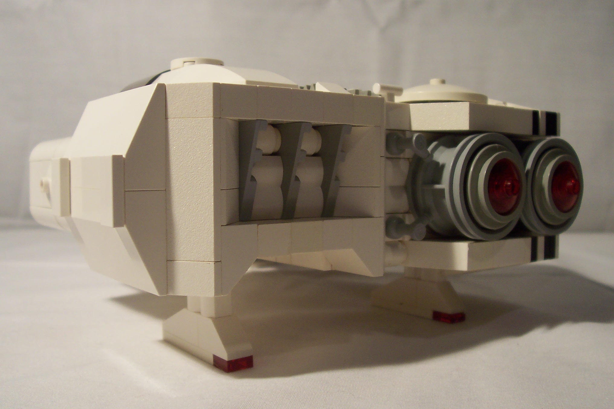 aav271_012.jpg