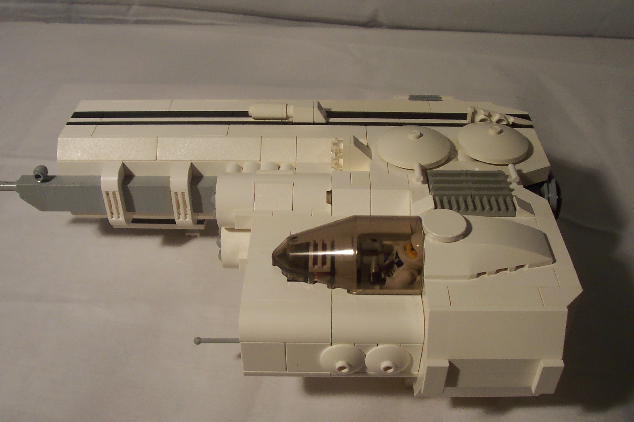 aav271_013.jpg