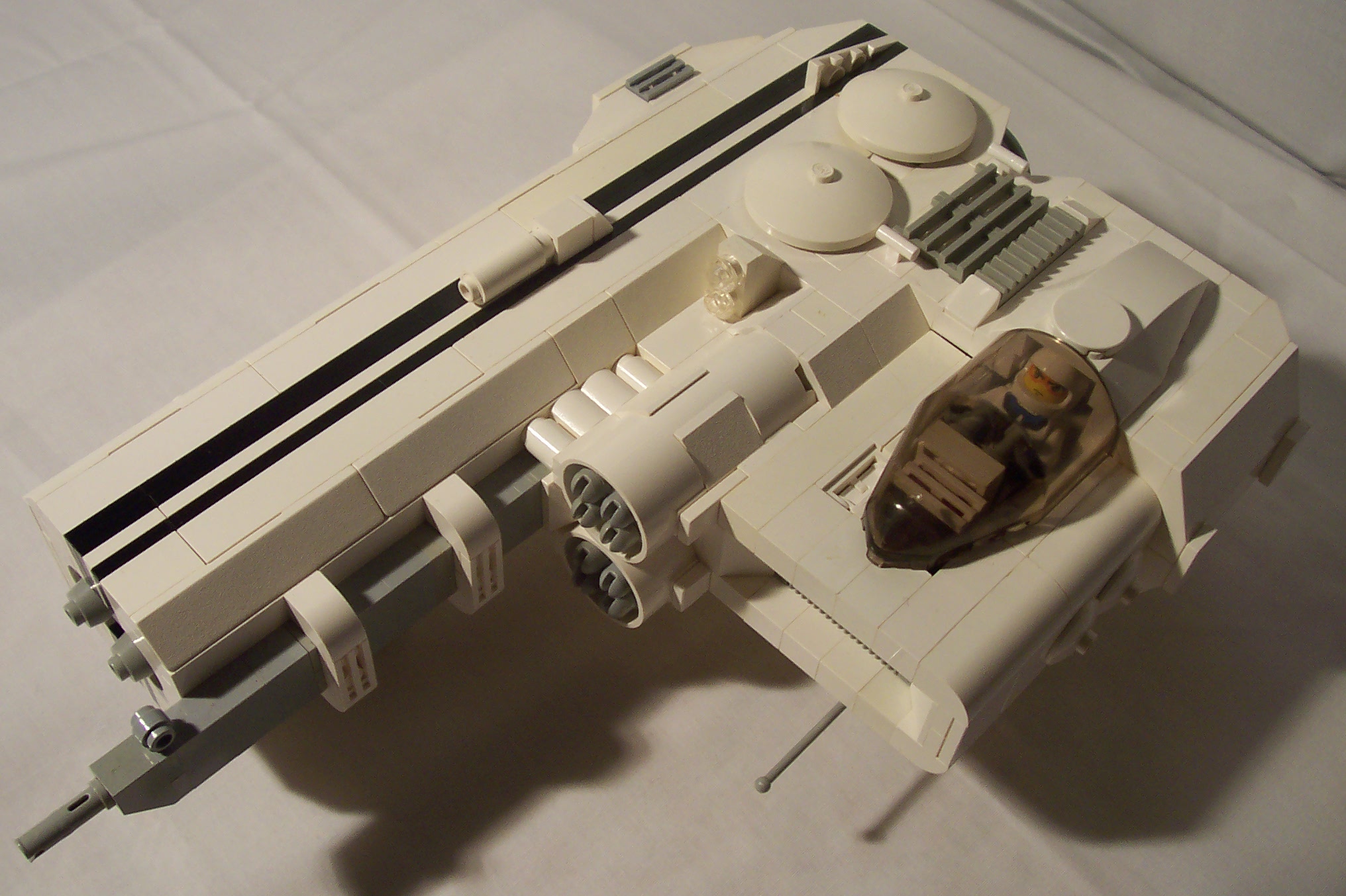 aav271_014.jpg