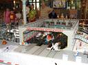 dscf0539.jpg