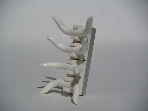 bone.shield.1.jpg