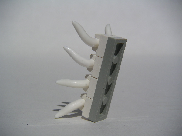 bone.shield.2.jpg