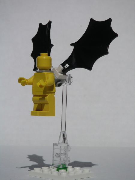 wings.1.jpg