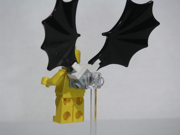 wings.4.jpg
