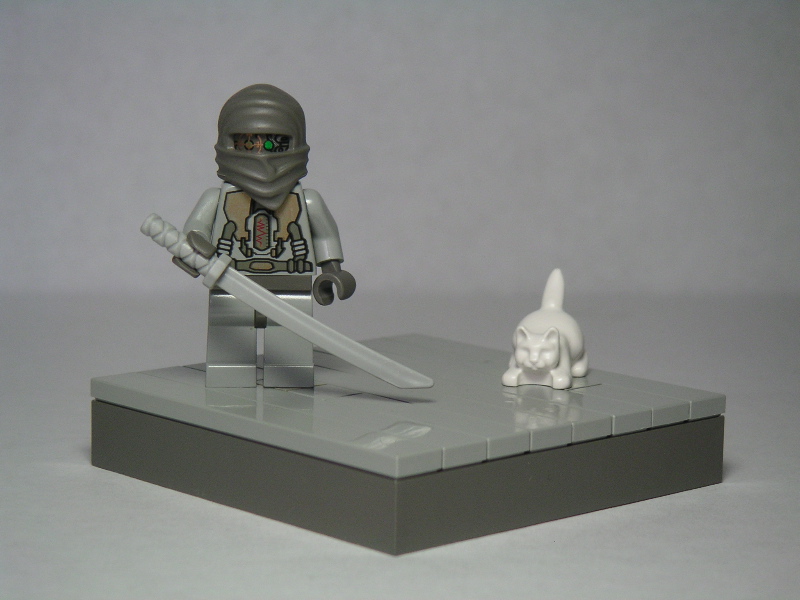 12_robot_ninja_vs_kitten.jpg
