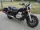 gl1200naked.jpg
