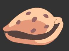 itemcowrieshell.jpg