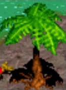 plantmadutree.jpg