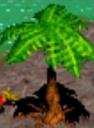 plantmadutree.jpg