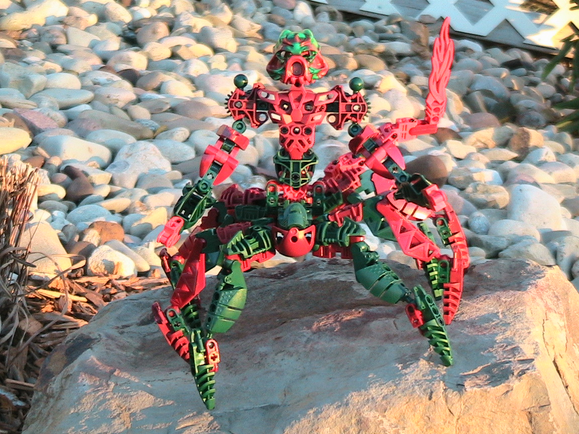 mocs_011.jpg