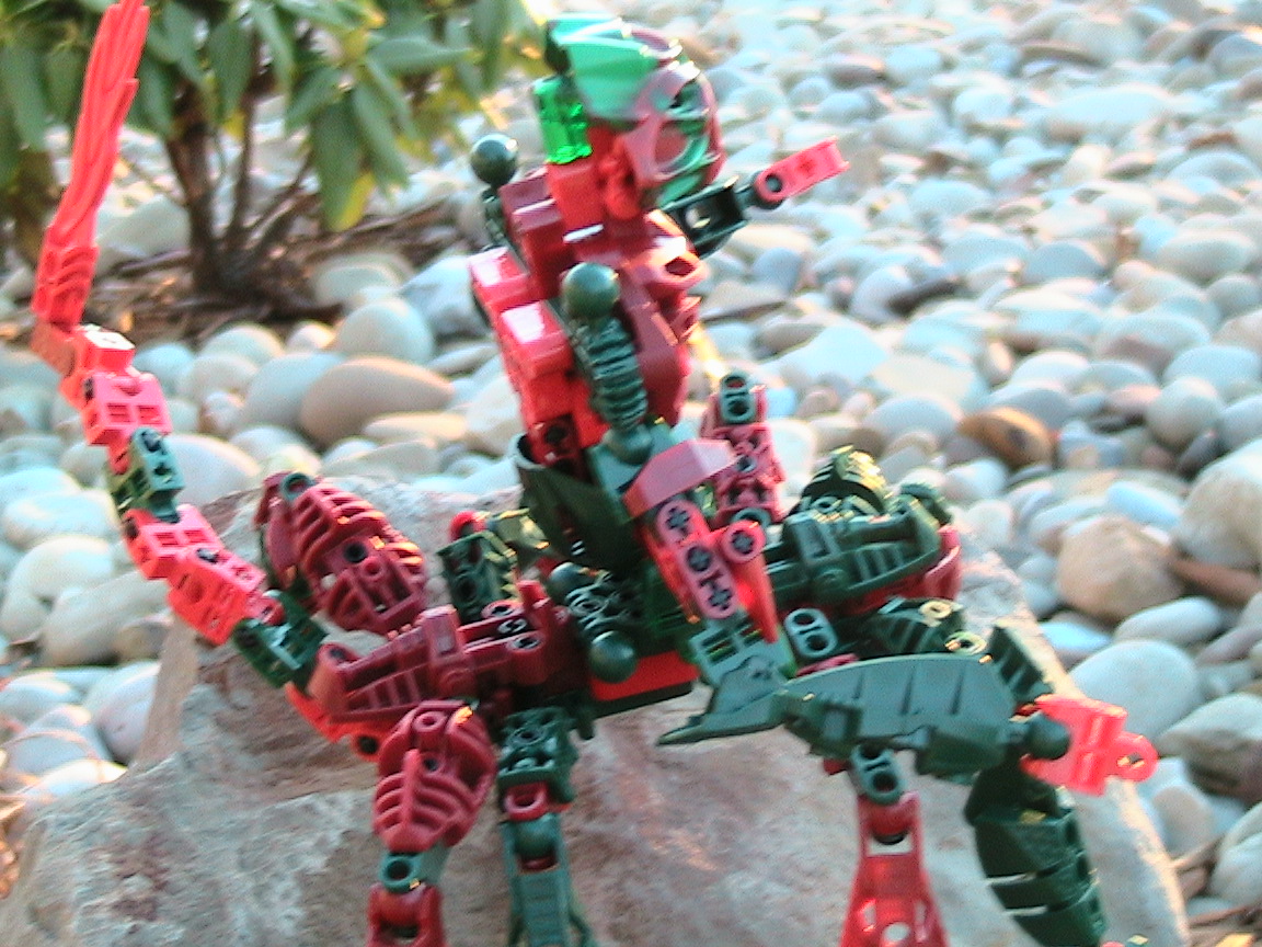 mocs_016.jpg