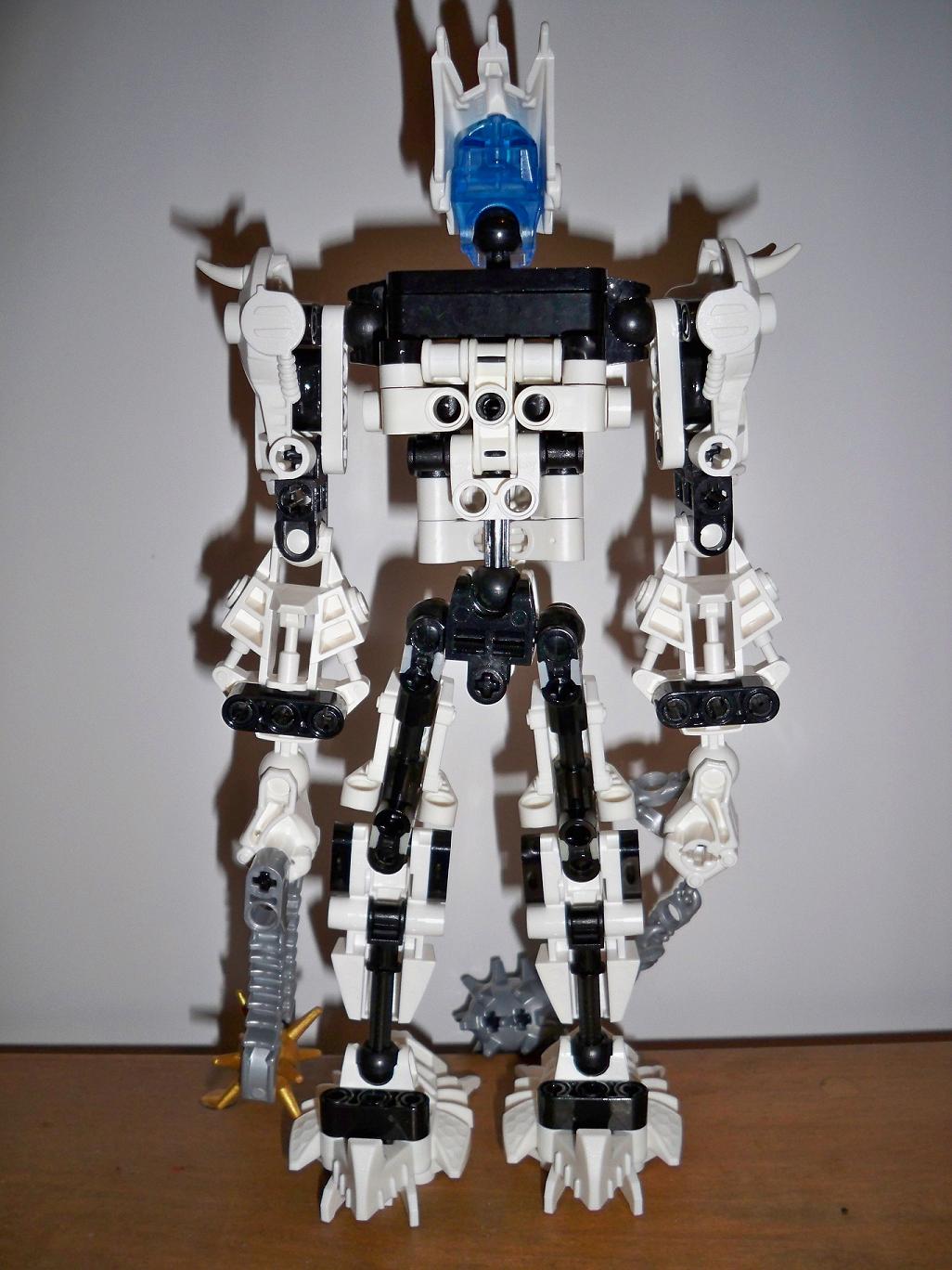 certavusback.jpg