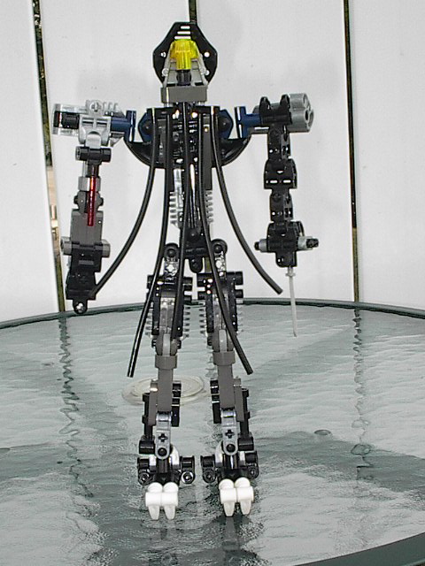 im001176.jpg