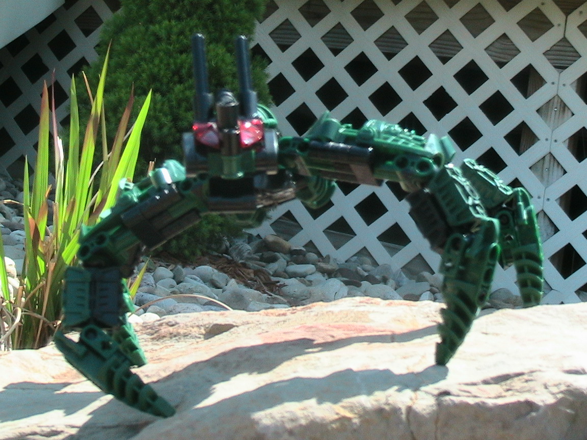 mocs_056.jpg