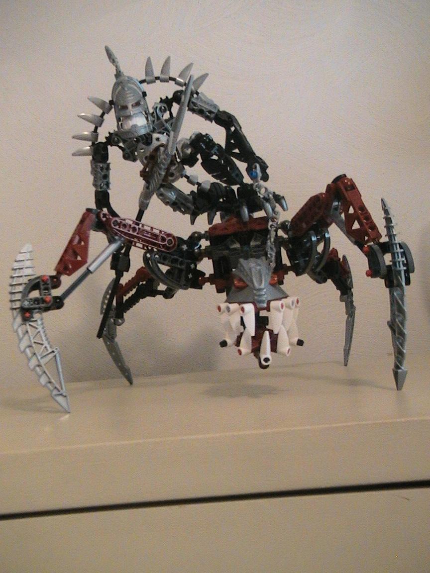 spine_004.jpg