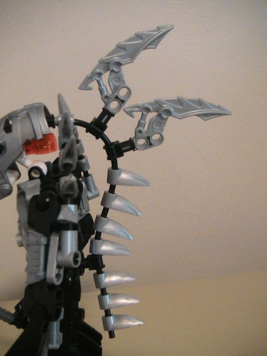 spine_005.jpg