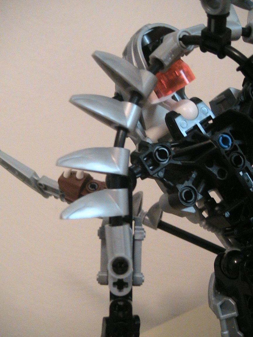 spine_006.jpg