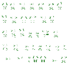 metrugreenlimbs.bmp