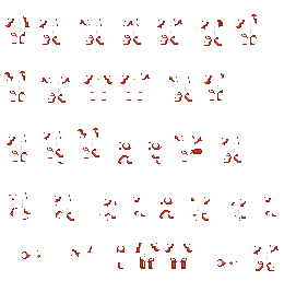 metruredlimbs.bmp