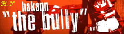 bannerhakann.png