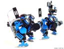 wildhunt0348.jpg