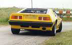 real-lotus1.jpg