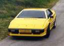 real-lotus2.jpg