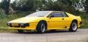 real-lotus3.jpg