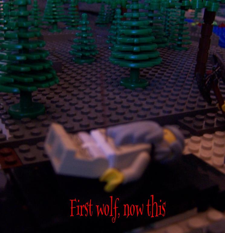 turn028.jpg