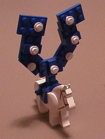 coltshorse.jpg