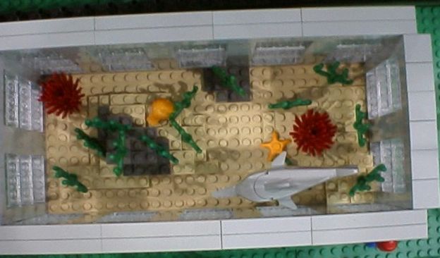 zoosawfish.jpg