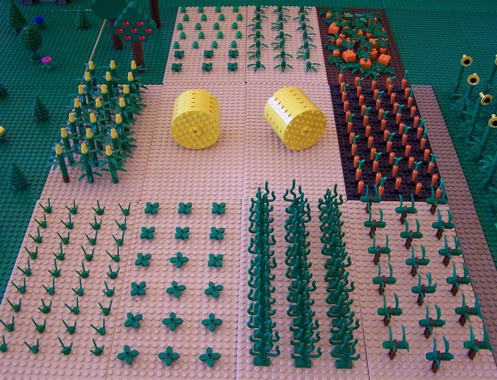castle11a.jpg