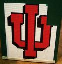 iumosaic3.jpg