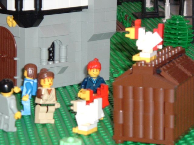 gat0104chickens.jpg