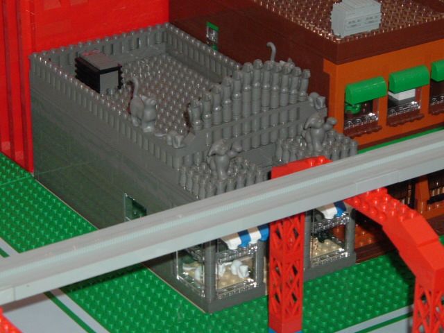 gat0104petshop.jpg